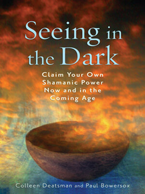 cover image of Seeing in the Dark
